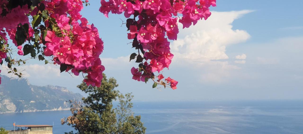 Casa Grazia Amalfi Βίλα Εξωτερικό φωτογραφία